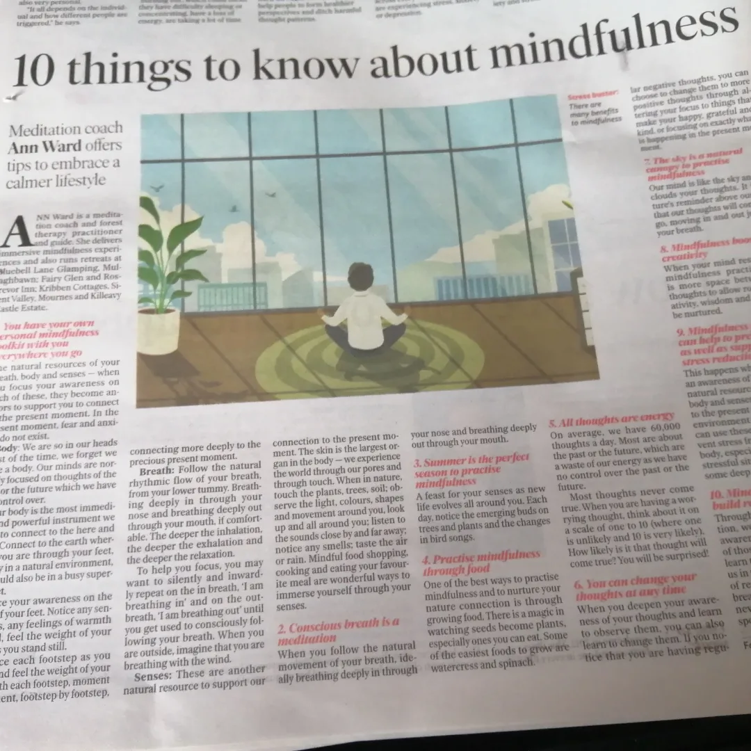 Belfast Telegraph article on mindfulness.